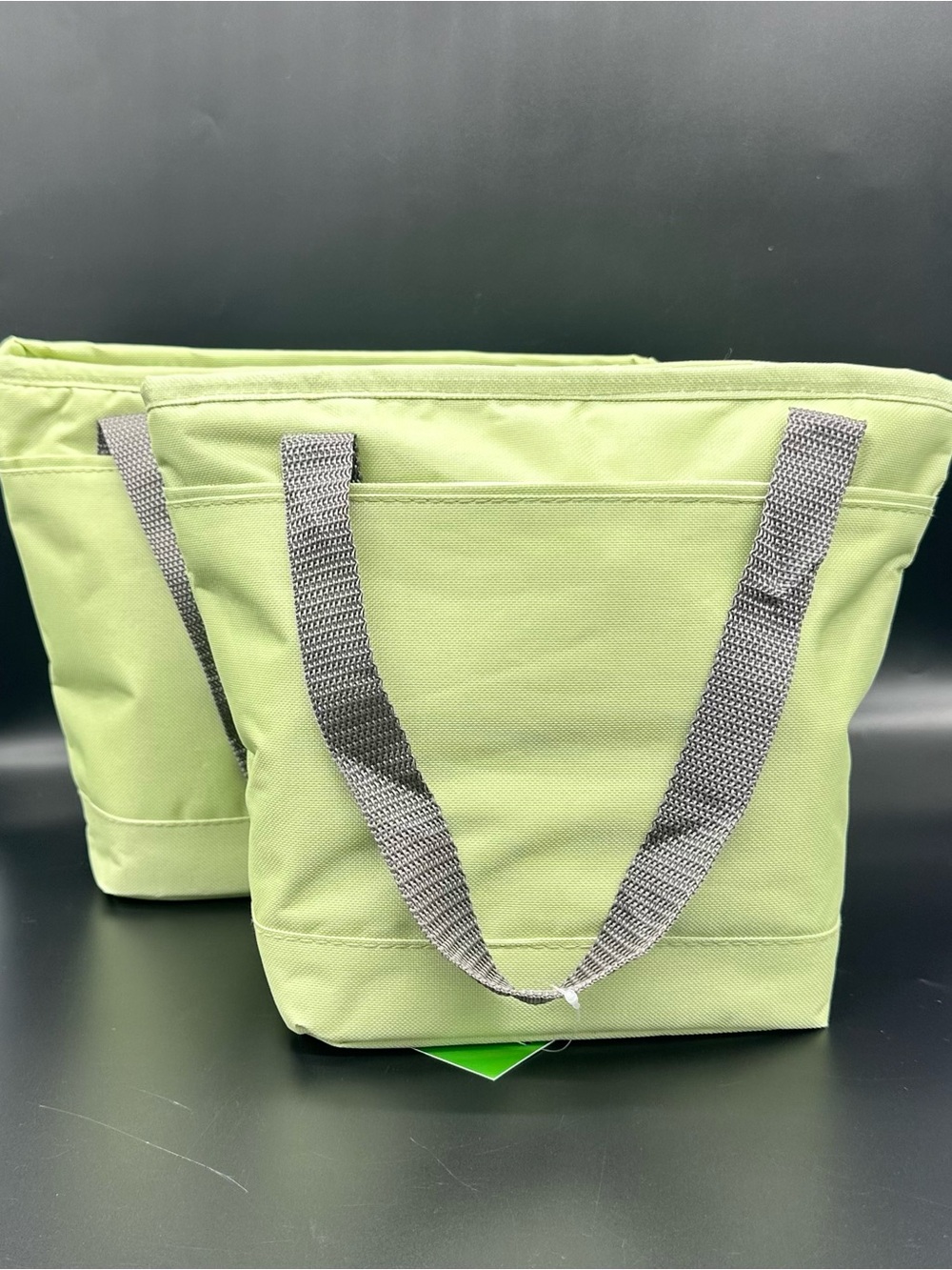 Lot of 2 Soft Cooler 8-Can Tote Bag Lime Green Insulated Zipper Lunch Lunchbox